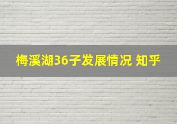 梅溪湖36子发展情况 知乎